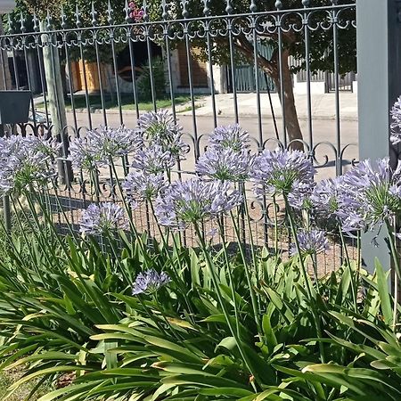 Oasis Cochera Opcional Bahía Blanca Værelse billede