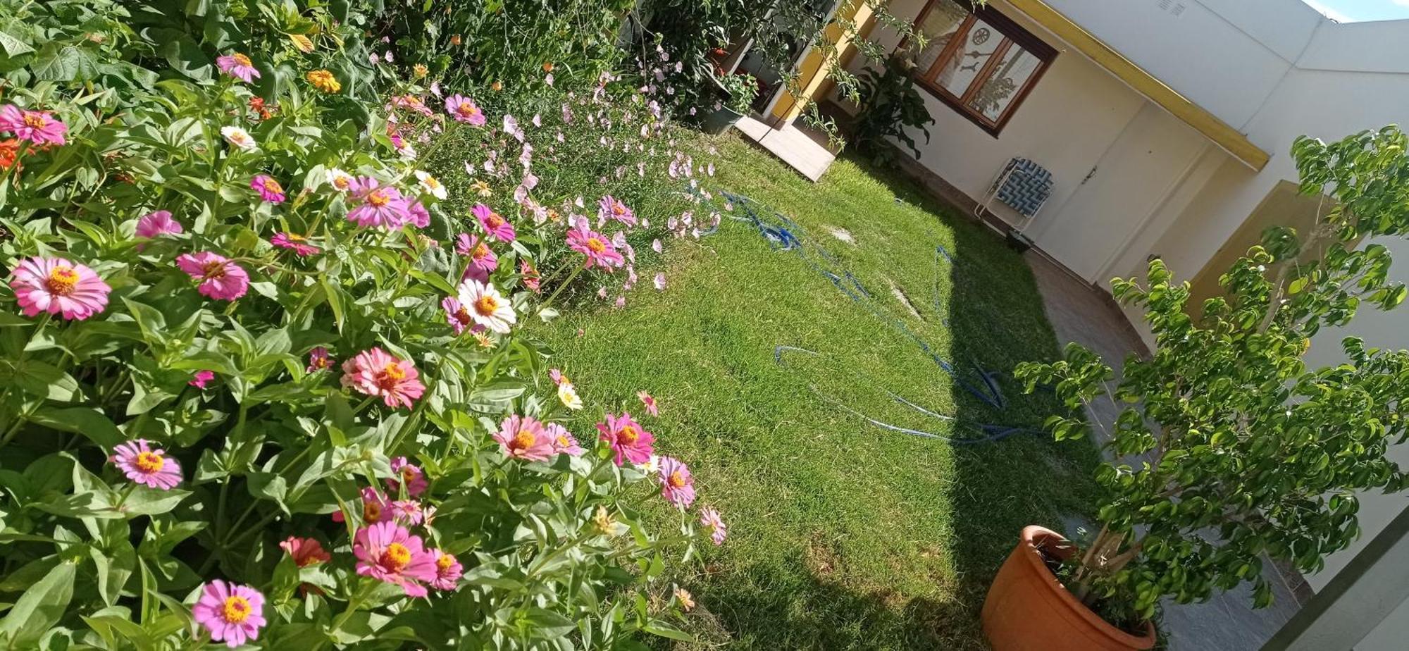 Oasis Cochera Opcional Bahía Blanca Værelse billede